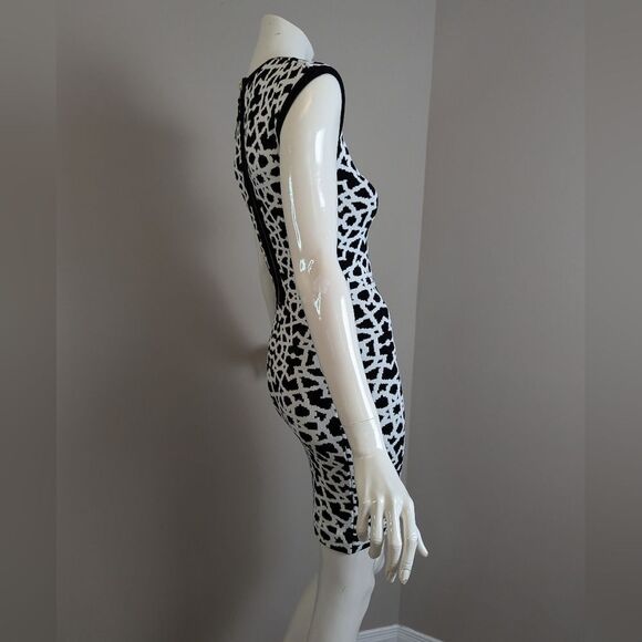 Torn by Ronny Kobo Bodycon Dress – XS – Geometric Knit – Zip Back - Picture 9 of 9